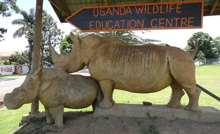 entebbe-zoo - Kampala Car Rental